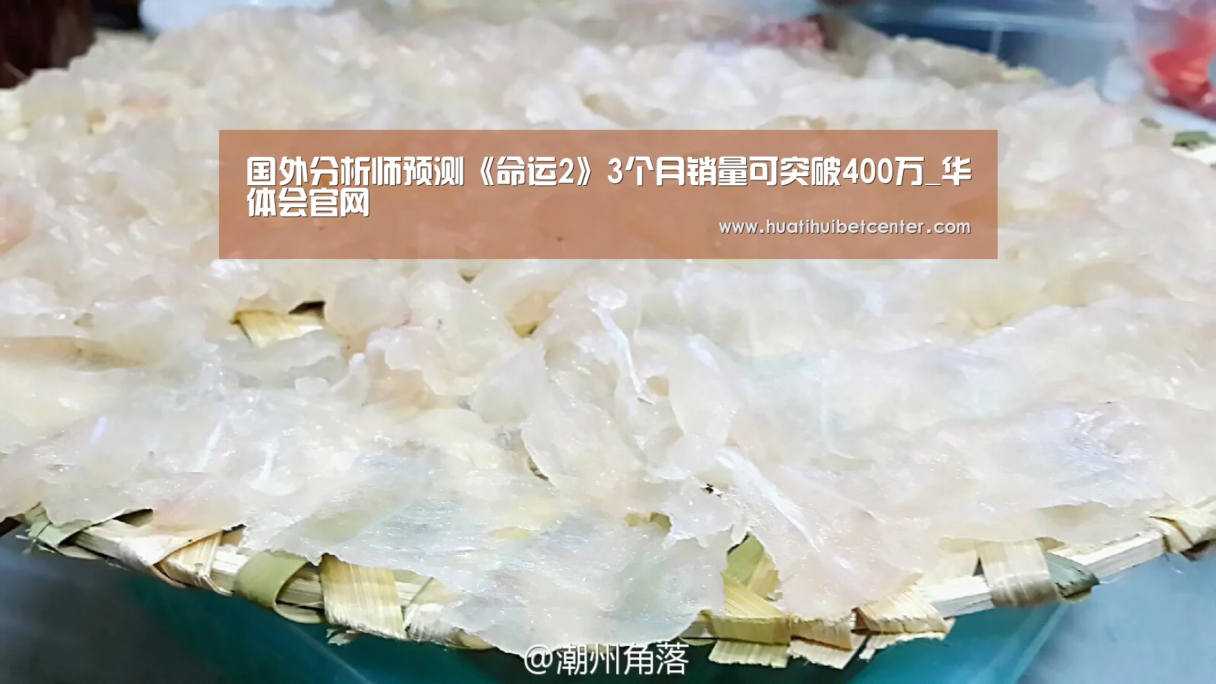 华体会娱乐