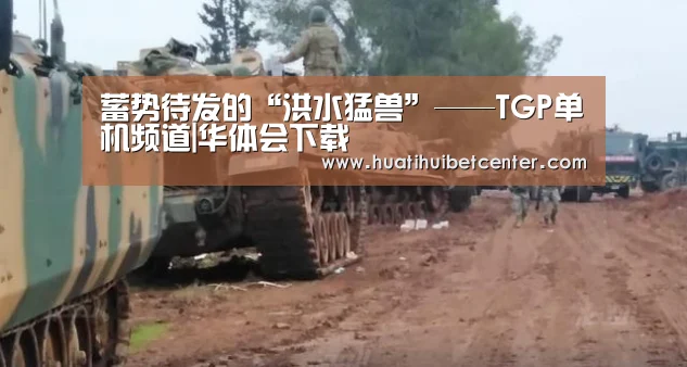 蓄势待发的“洪水猛兽”——TGP单机频道|华体会下载(图2) 华体会娱乐