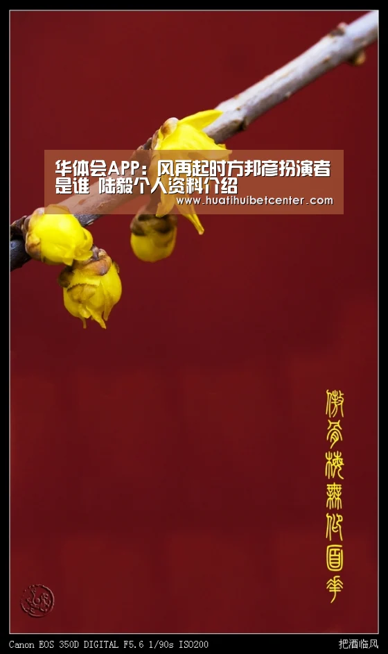 华体会APP:风再起时方邦彦扮演者是谁 陆毅个人资料介绍(图1) 华体会官网