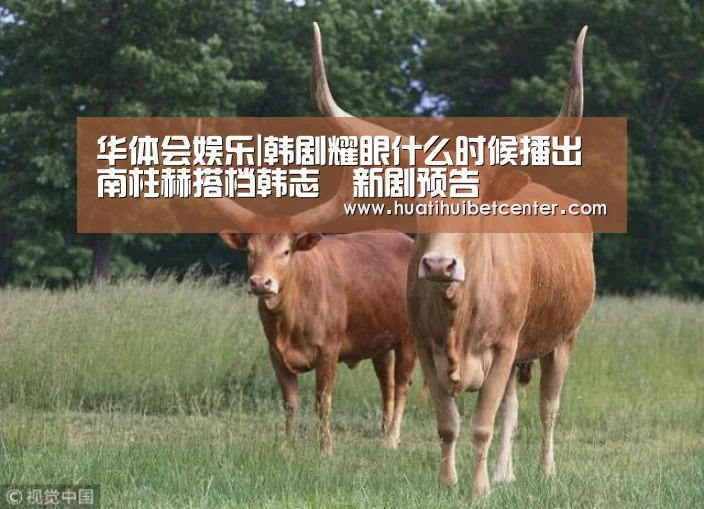 华体会下载